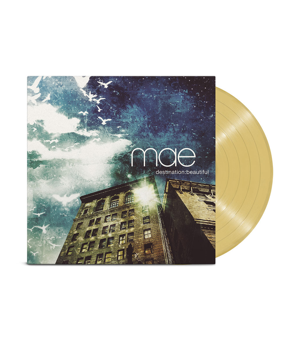 Mae D:B Vinyl Bundle - 20 YEAR HOODIE